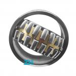 06030-22318 Roller Bearing for sale