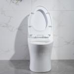 One Piece CUPC Toilet Siphonic Washdown Water Closet NO Leaks for sale