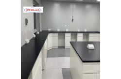 China Full Steel Chemistry Lab Bench made with Standard Specifications and 2 Rails supplier