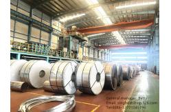 China Electroplated Chromium Plate Tin Free Steel for Can Lids and Bottom supplier