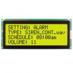 NHD-0420E2Z-FL-GBW for sale