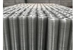 China Smooth Surface Silver Electro Galvanized Welded Wire Mesh Rolls 10-15g Zinc Coating supplier