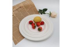 China 9 Inch Eco Biodegradable Bagasse Tableware 10in Round Sugarcane Waste Plates Pulp Molded supplier