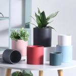 Customizable Ceramic Pots To Meet Your Specific Planting Requirements