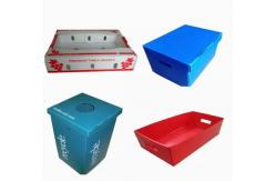 China 2400x1200 2440x1220 Fruit Vegetable Box Plastic Corrugated supplier