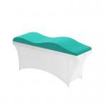 The Ergonomics high-resilience foam Nap beauty salon velvet bed topper mattress for sale