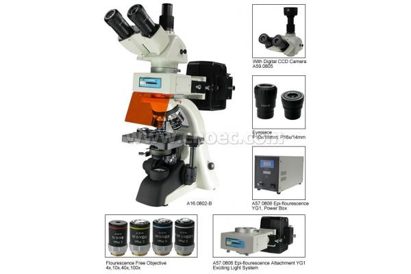 Fluorescence Trinocular Microscope , 40X - 1600X A16.0802 Compound Microscopes
