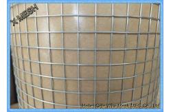 China 1′′*1′′ Welded Galvanized Welded Wire Mesh Roll for Construction Building supplier