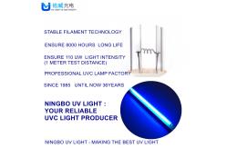 China G13 UVC Disinfection Lamp T8 UV Sterilizer Wall Mount Sterilization supplier