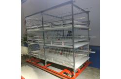 China Galvanized 380V 120/150 Broiler Chicken Cage For Poultry SGS Certificated supplier