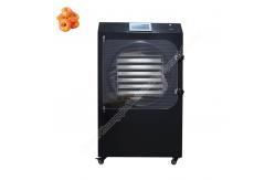 China lyophilization machine /lyophilizer freeze dryer/fruit freeze dryer supplier