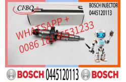China High Quality Diesel Fuel Injector 0445120255, 044512010, 0445120113 supplier