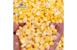 China Industrial SS Corn Deseeding Machine ,  Husking Shucking Fruit Processing Equipment supplier