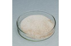 China Hydrolysis To Remove Bitterness Flavourzyme Enzyme Used For Food Processing supplier