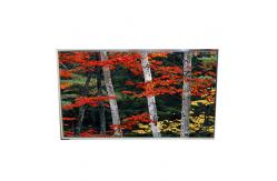 China LD980DQL-SMA1 98.0 Inch Original LCD 3840*2160 LCD Screen Display supplier
