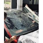 Transparent Car Windshield Protector UV Protection Film Waterproof Practical