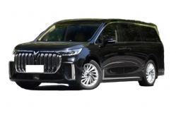 China Energy Saving Voyah Dreamer MPV Pure Electric Vehicle With 50km Range supplier