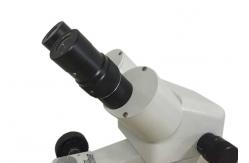 China Gem Microscope with Magnification of 10X to 40X Continuous Variable supplier