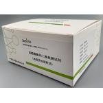 60ul Serum Plasma CK-MB Test Kit For Cardiology Emergency Laboratory for sale