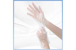 China Safe Handling PE Disposable Gloves For Food Processing Disposable Gloves Polyethylene supplier