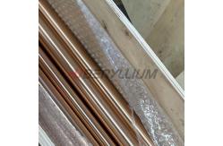 China CuBe2 AT Beryllium Copper Rods ASTM B196 Dia 18mm Length 2000mm supplier