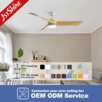 Customized ABS Blades LED Ceiling Fan with WiFi Tuya Control and Lighting Solutions