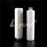 Hydrophobic 40inch Air PTFE Vent Filter 222 Fin PTFE Water Filter for sale