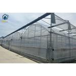 Multi Span Greenhouse With Ventilation & Cooling Custom Designs For Modern Farms for sale