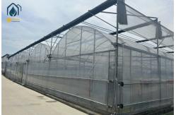 China Multi Span Greenhouse With Ventilation & Cooling Custom Designs For Modern Farms supplier
