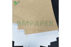 China 260gsm Heat Resistant PET Coated Oven Paper Rolls for Toasting supplier