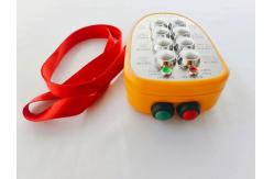 China 8-Way Switch Industrial Wireless Remote Control supplier
