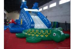China outdoor inflatable blue slide with green turtle pool supplier
