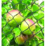 1m - 500m Vineyard Bird Netting Anti UV Bird Netting For Tomato Plants for sale