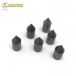 Brazed On Tungsten Carbide Tips Round Litchi Mill Solid Sharp Point Cemented Carbide Tips for sale