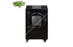 China lyophilization machine /lyophilizer freeze dryer/fruit freeze dryer supplier