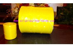 China 2% UV Polypropylene Baling Twine supplier