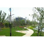 Residential Electricity Hybrid Generator System , Lamp Solar Hydro Hybrid System for sale