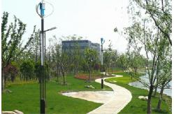 China Residential Electricity Hybrid Generator System , Lamp Solar Hydro Hybrid System supplier