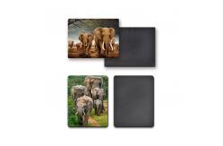 China Gifts Custom Fridge Magnets CMYK Printing supplier