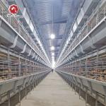 H Frame 4 Tiers Meat Chicken Broiler Cage 136 birds for sale