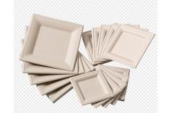 China Virgin Paper Pulp Tableware / Dishware Pulp Molding Equipment from 1800~18000Pcs / H supplier