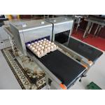 Small Character / Date Egg Jet Printer With USB Download Storage Messages for sale
