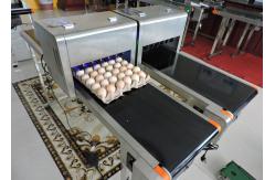 China Small Character / Date Egg Jet Printer With USB Download Storage Messages supplier