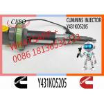 Fuel Injector Assembly 2867147 2882077 4955524 Y431KO5393 2882078For Qsk19 Engine