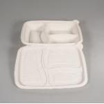 White Eco Friendly PLA Tableware 203cmx209cmx70cm 3 compartment for sale