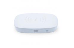 China Multi Function Sanitizing Wand UV Light Phone Sanitizer Portable Fast Charge Box supplier