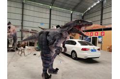 China Adult Simulation T-Rex Realistic Animatronic Dinosaur Costume supplier