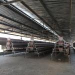 Hot Dipped Galvanized Layer Chicken Cage 360 degree rotating design for sale