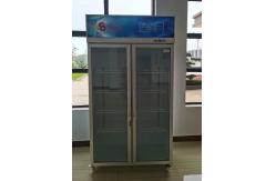 China Easy Cleanup 884L Commercial Display Fridge Fresh Keeping Double Door Glass Cooler supplier