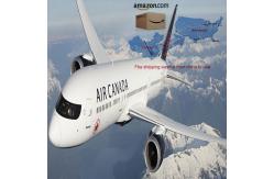 China Door To Door China To USA Speedy Amazon FBA Shipping supplier